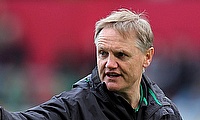 Joe Schmidt's Australia have lost three out of the four matches in the Rugby Championship