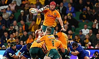 Harry Wilson was one of the try scorer for Wallabies Harry Wilson was one of the try scorer for Wallabies