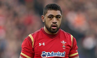 Cardiff coach Corniel van Zyl believes Taulupe Faletau will want to push for another Wales call-up and a fourth Rugby World Cup. Cardiff coach Corniel van Zyl believes Taulupe Faletau will want to push for another Wales call-up and a fourth Rugby World Cup.