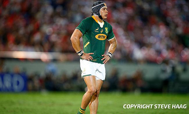 Cheslin Kolbe is among the rested players for South Africa